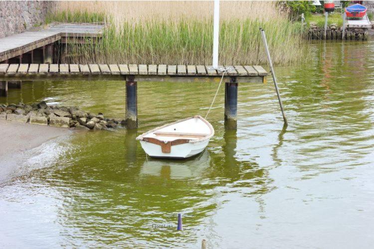 Hausboot Fjord Ankerplatz Mit Biosauna In Schleswig Kültér fotó